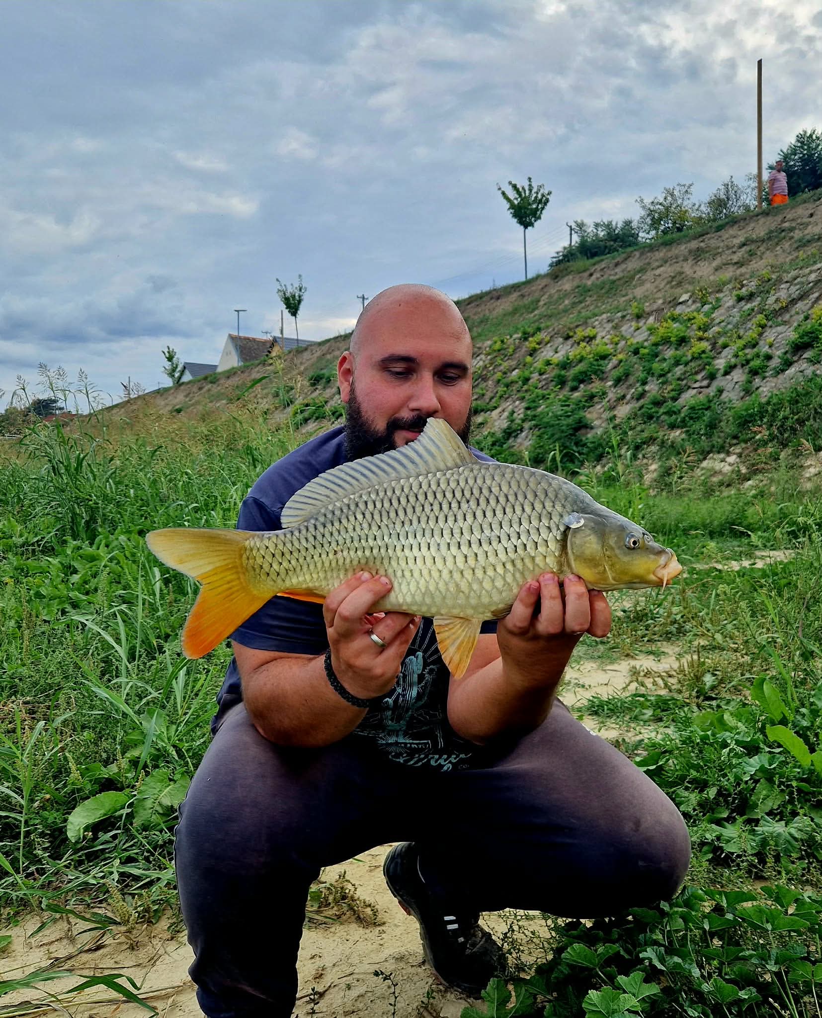 Šaran