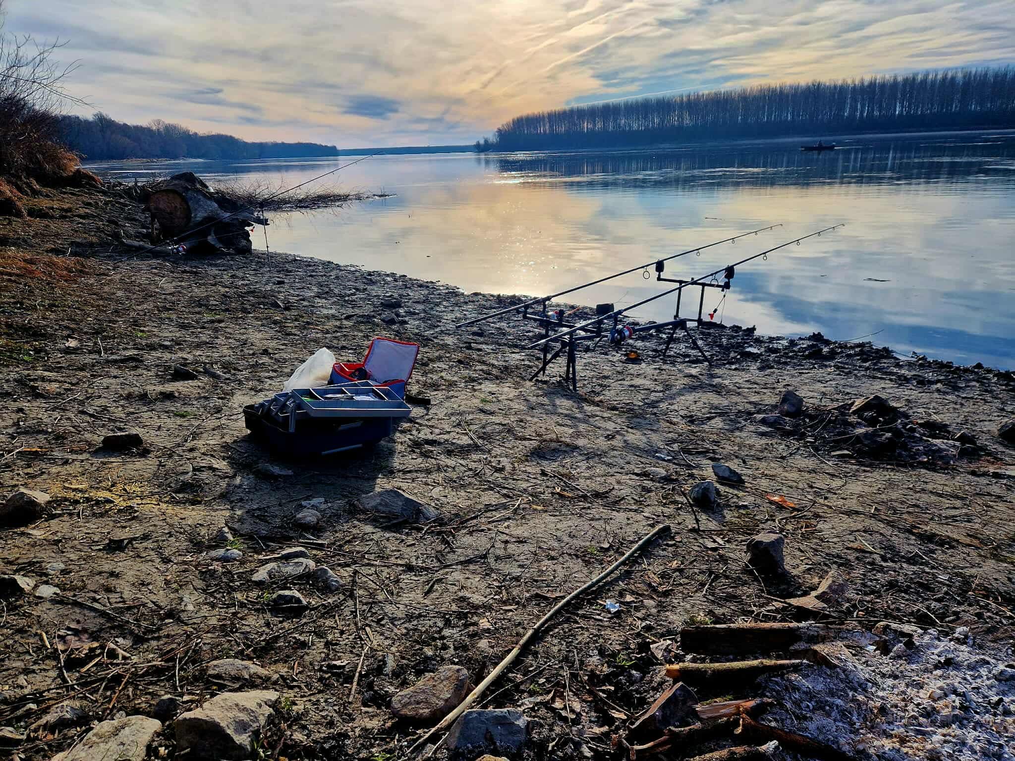 Lazo i daljska neman: "Dunavski trupac"